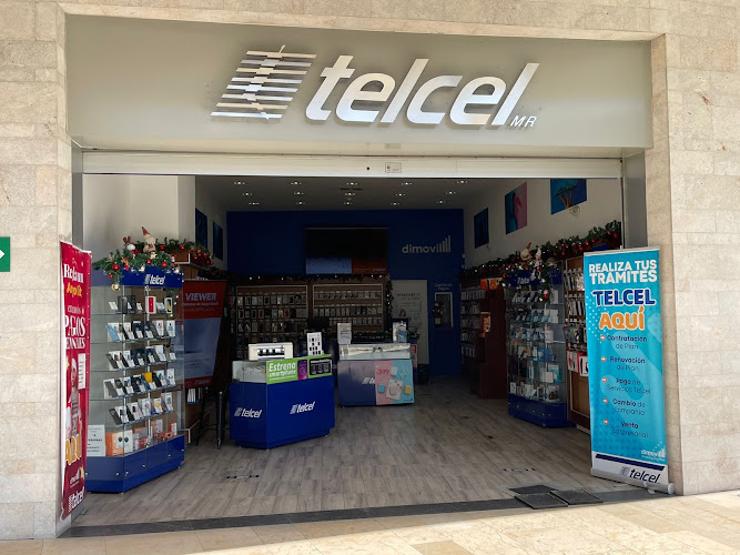 Taller de reparación Dimovil Victoria